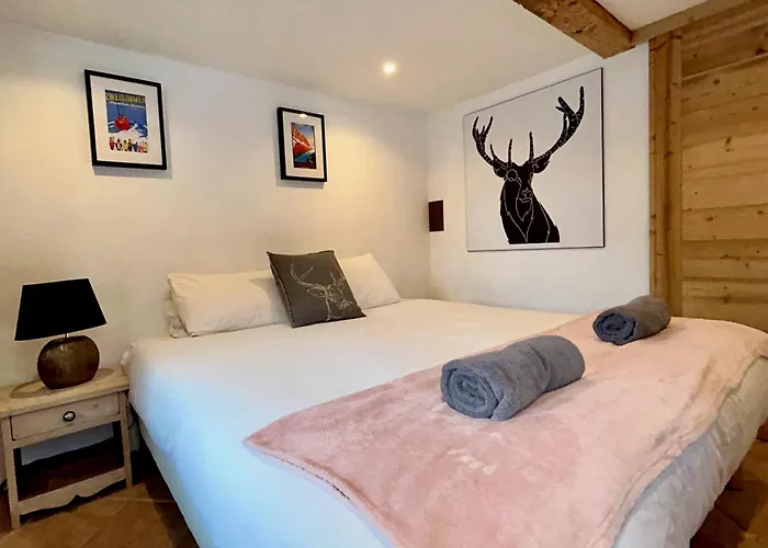 Gorgeous Mini-chalet * 샤모니